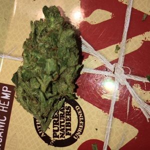 Meet your Posher, Mona